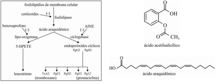 (UnB -2012) Bioquímica File