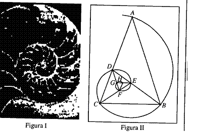 Geometria Plana: Triângulo Áureo File