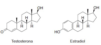 testosterona-estradiol.jpg