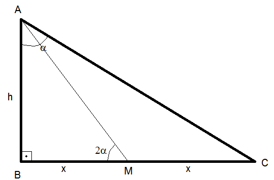triangulo retangulo.png