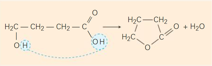 acido 4 hidroxibutanoico.png